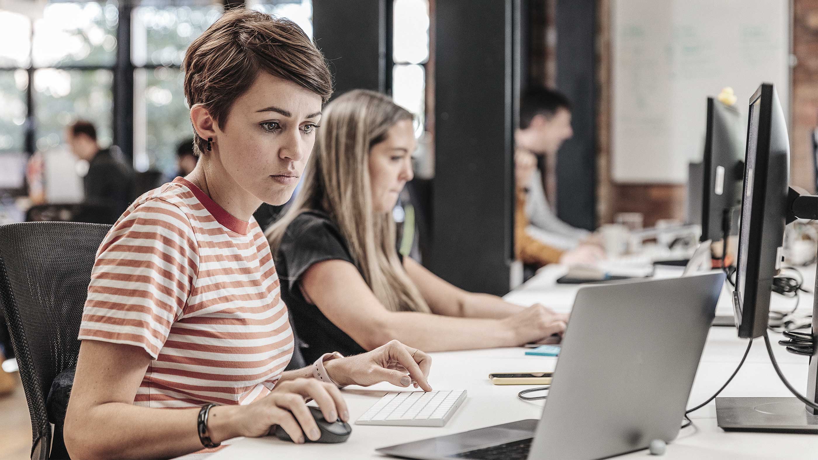 People working with computers